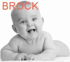 baby BROCK